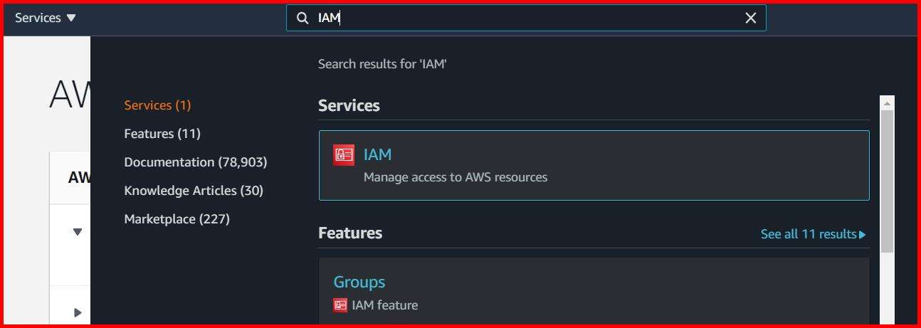 Picture showing the IAM service in the search result